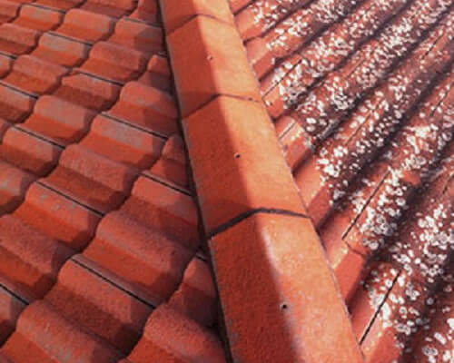 roof cleaning roof cleaning