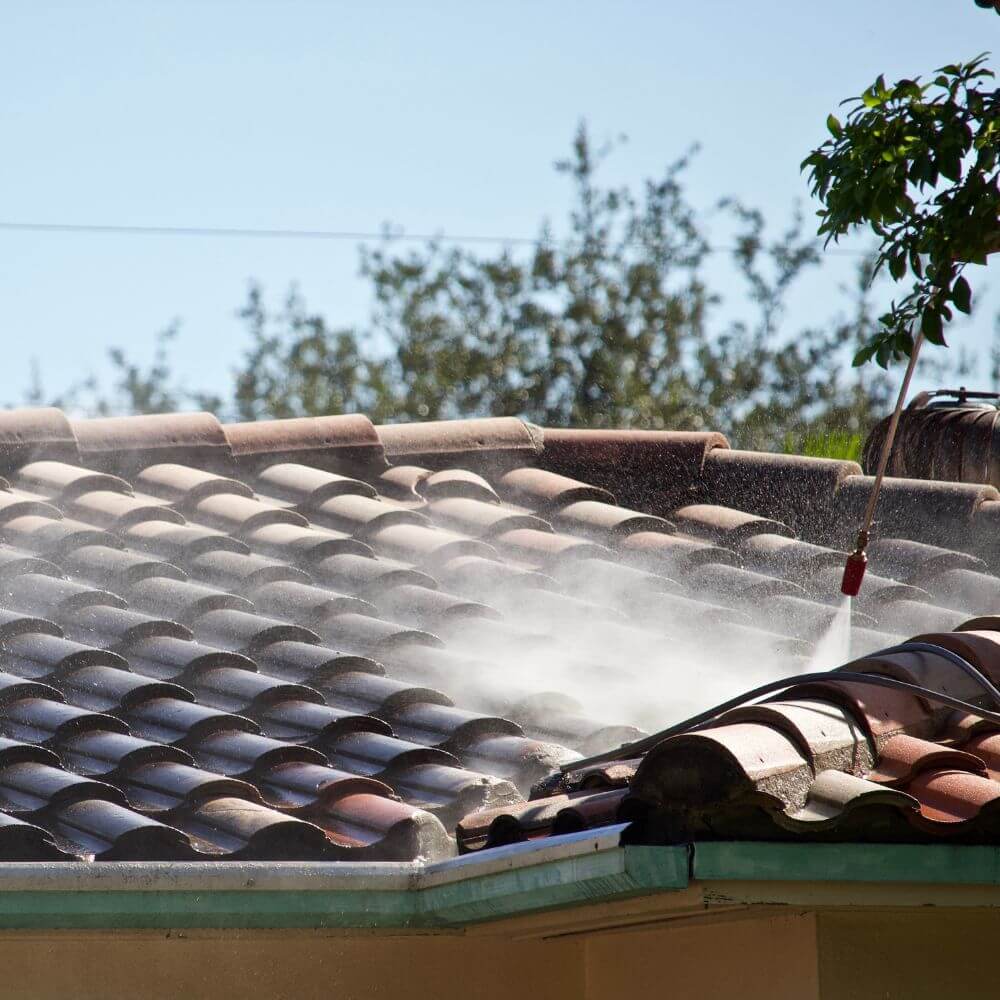 roof washing