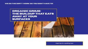 Organic Build-up and Grime