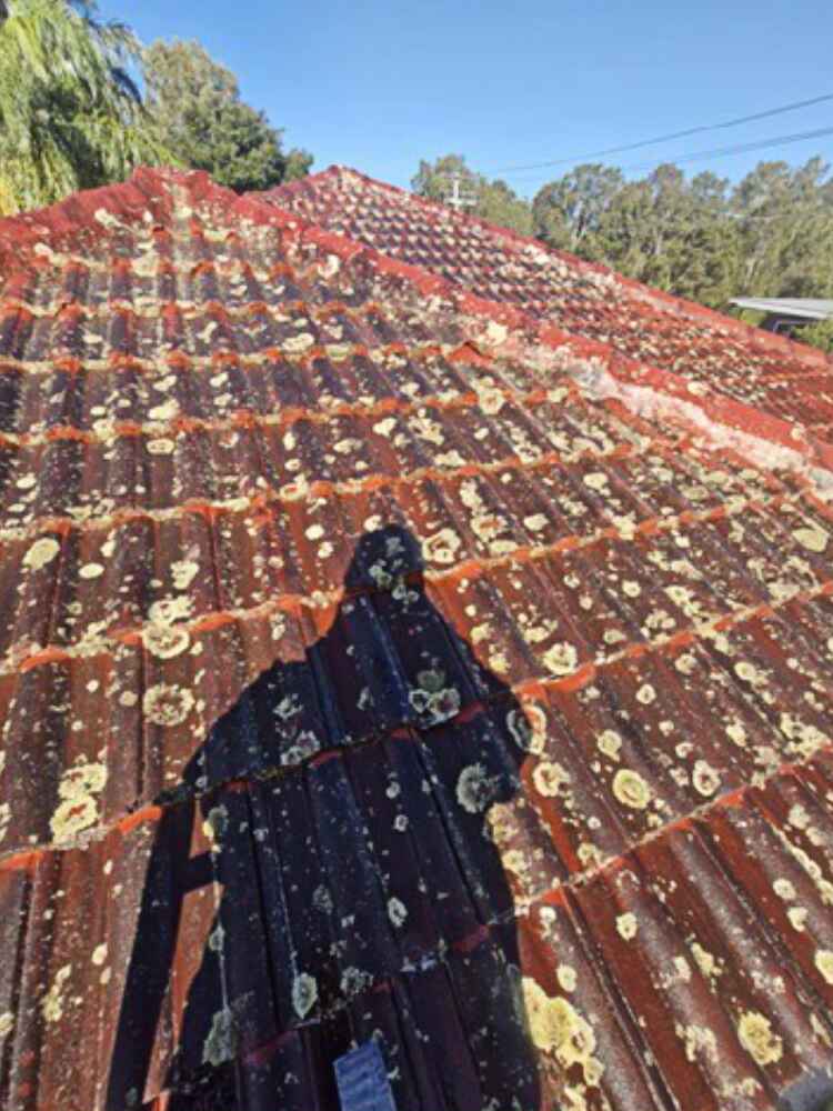 roof-5-before