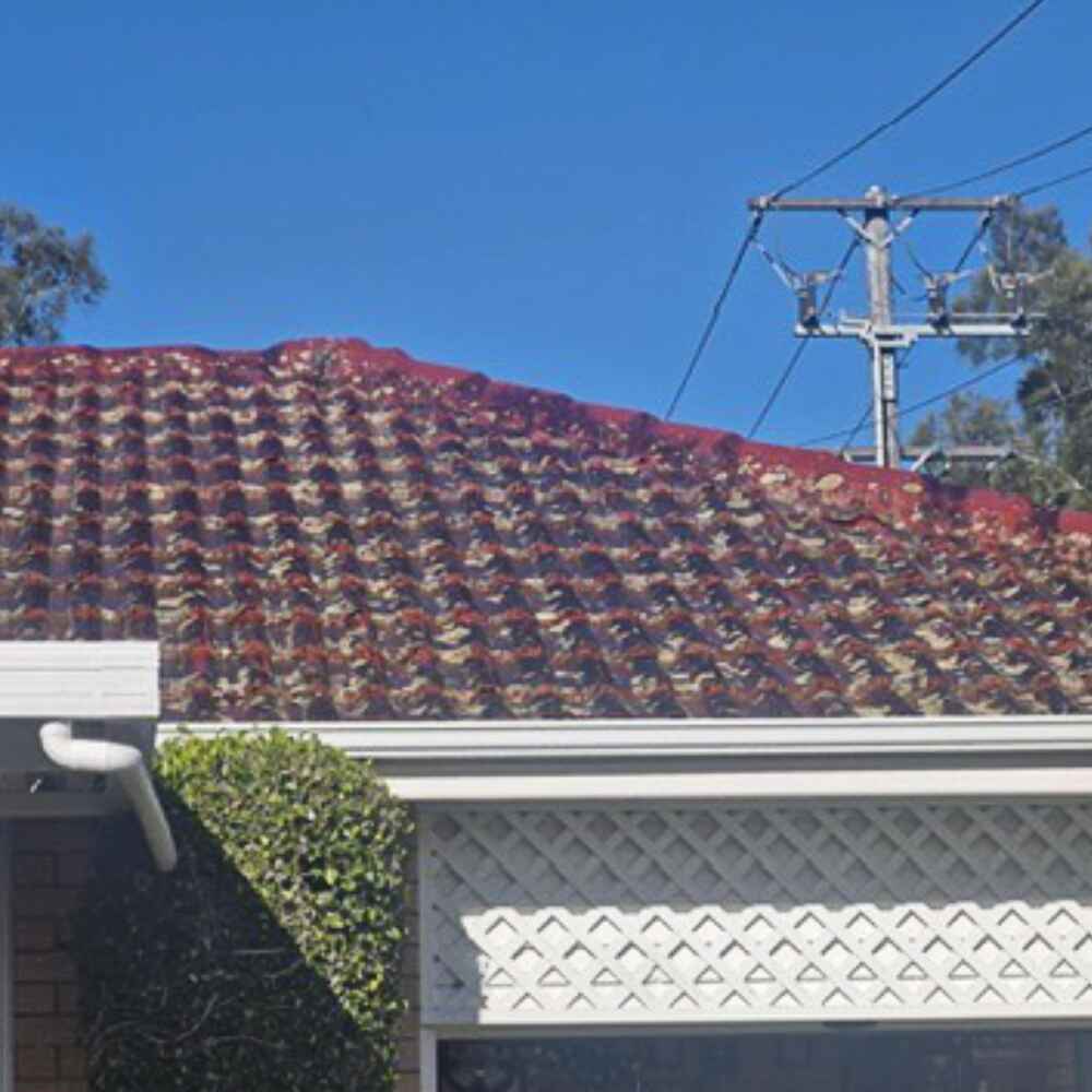 roof-6 roof-6