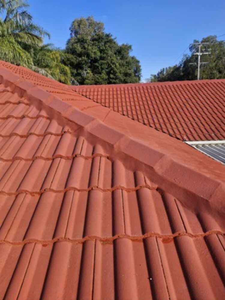 Roof Cleaning After