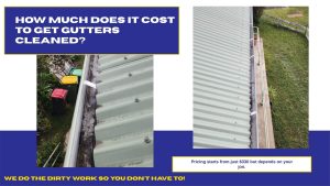 How often should you clean your Gutters
