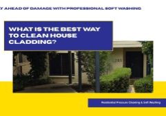What is the best way to clean house cladding?