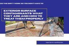 Exterior Surface Contaminants