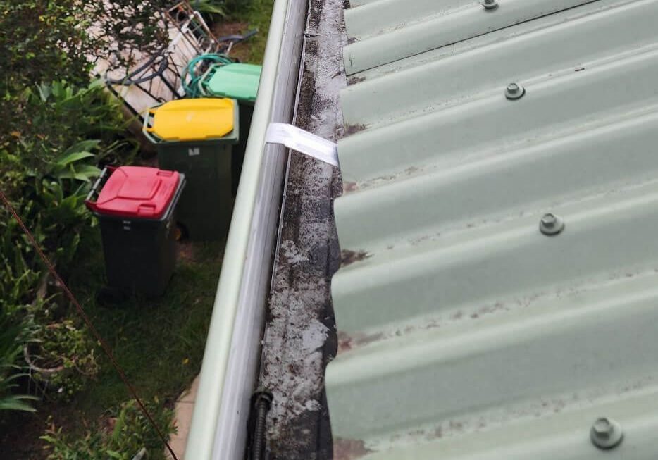 Cleaning Gutters